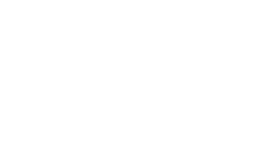 Logo In'Pulse